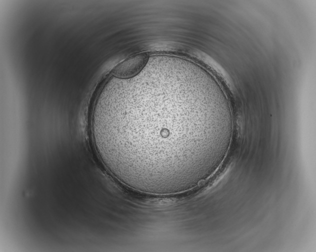 X0000101440930200807211209