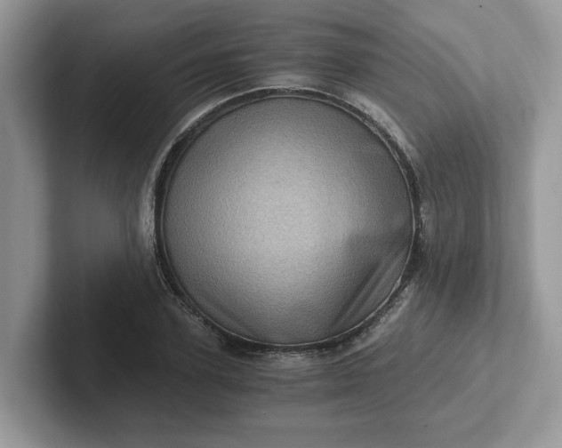 X0000101440931200807211209