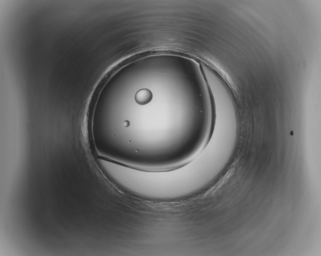 X0000101440932200807211209