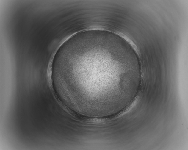 X0000101440933200807211209