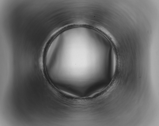 X0000101440935200807211209