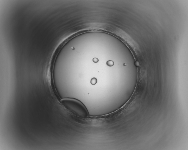 X0000101440936200807211209