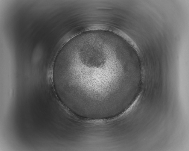 X0000101440937200807211209