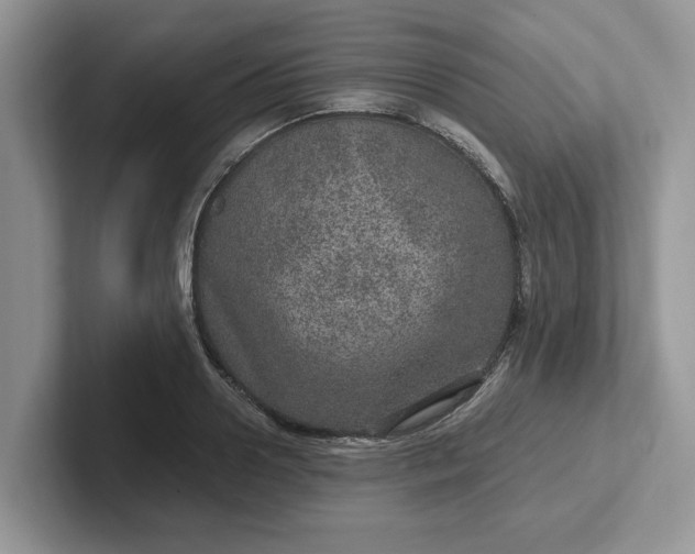 X0000101440938200807211209