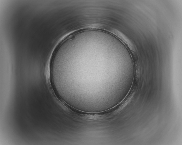 X0000101440940200807211209