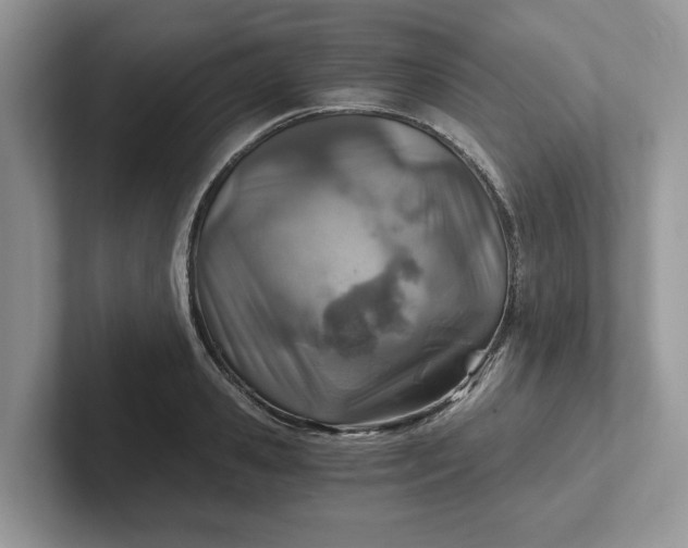 X0000101440941200807211209