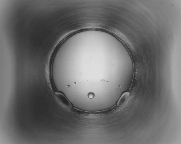 X0000101440942200807211209