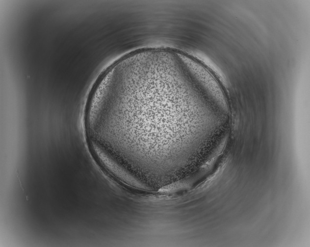 X0000101440943200807211209