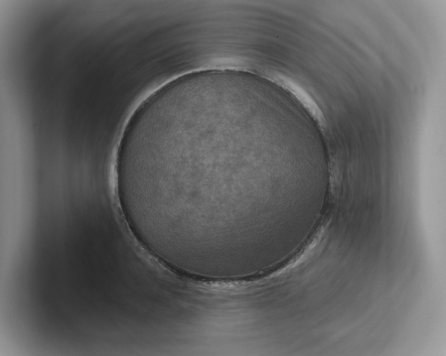 X0000101440944200807211209