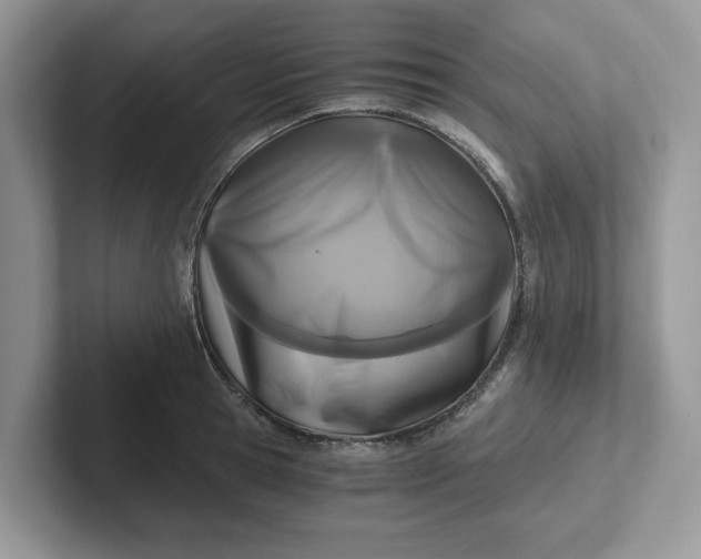 X0000101440945200807211209