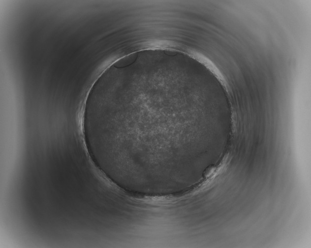 X0000101440946200807211209