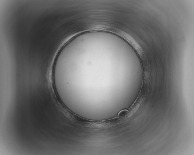 X0000101440948200807211209