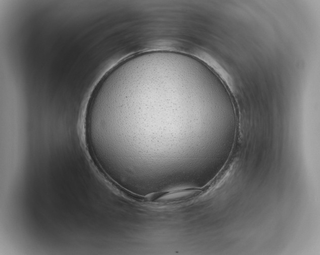 X0000101440949200807211209