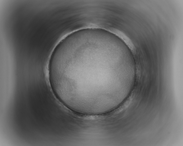 X0000101440950200807211209