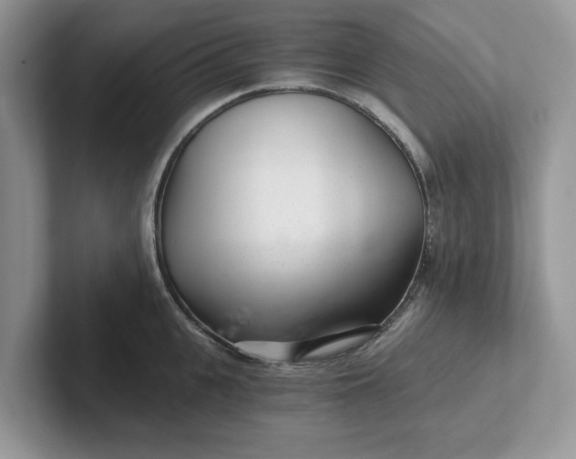 X0000101440951200807211209