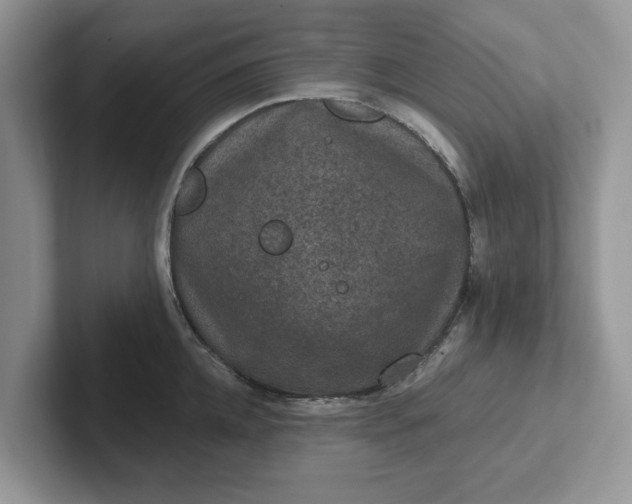 X0000101440952200807211209