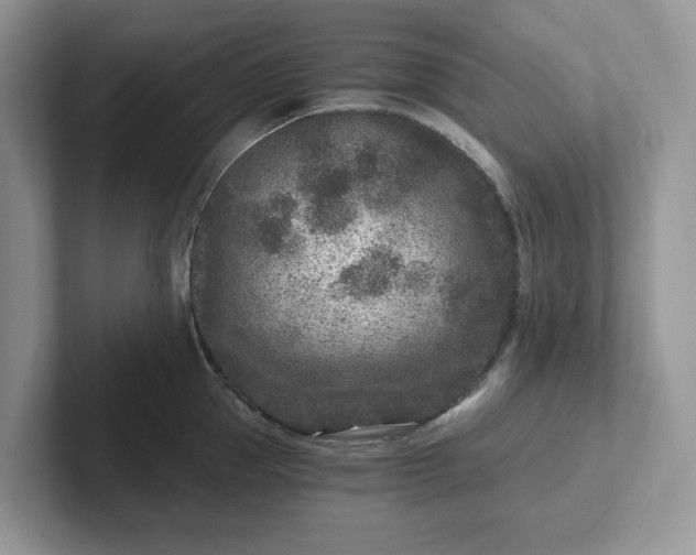 X0000101440953200807211209