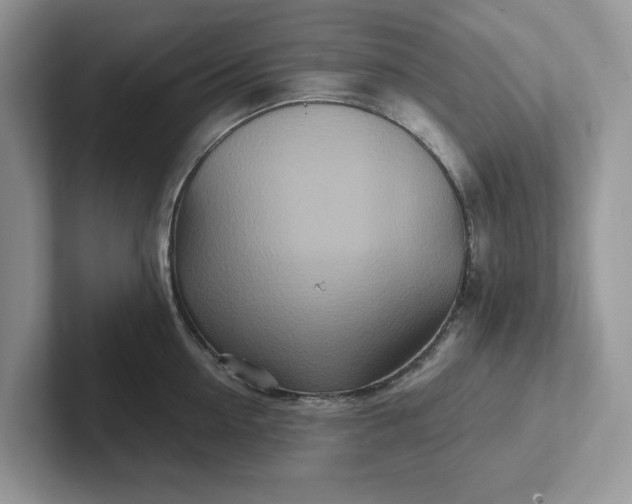 X0000101440954200807211209