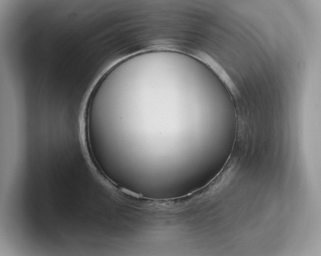 X0000101440955200807211209