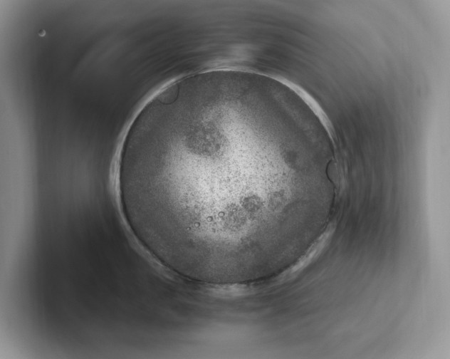 X0000101440957200807211209