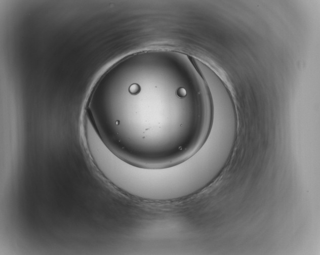 X0000101440960200807211209