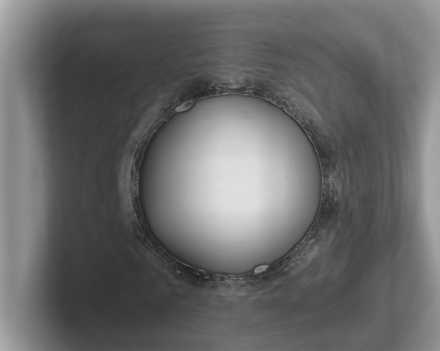 X0000101440961200807211208