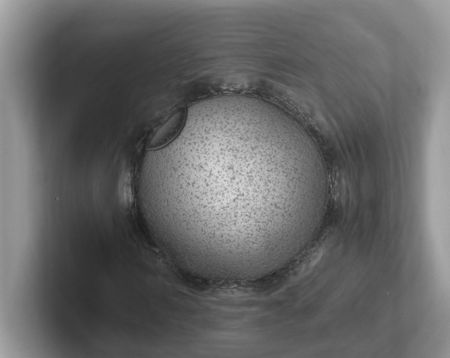 X0000101440962200807211208