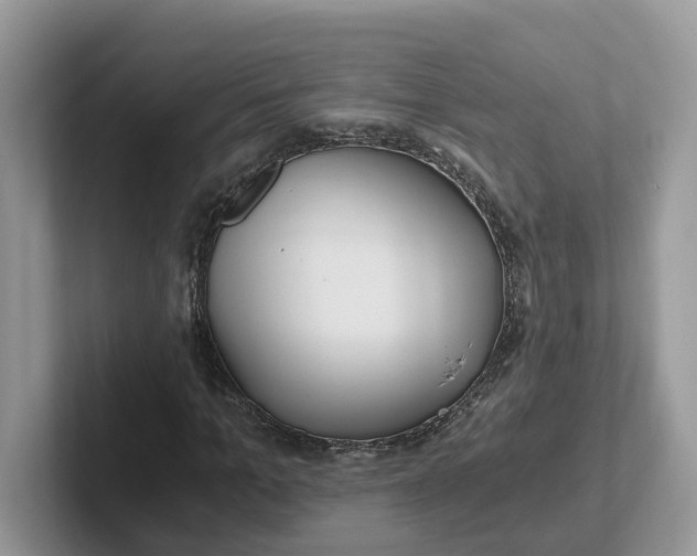 X0000101440965200807211208