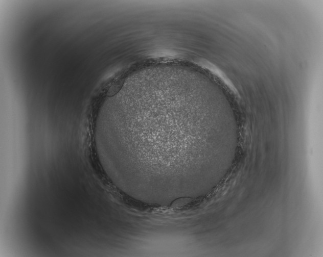 X0000101440967200807211208