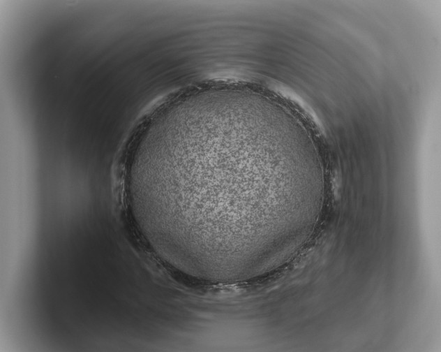 X0000101440968200807211208