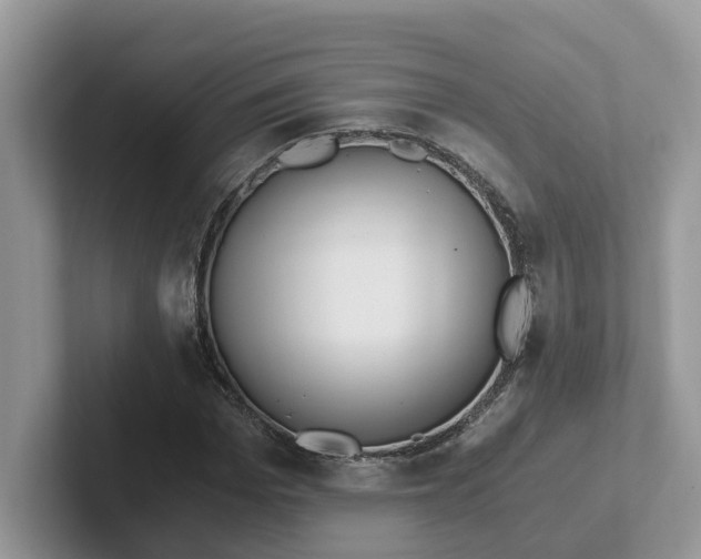 X0000101440969200807211208