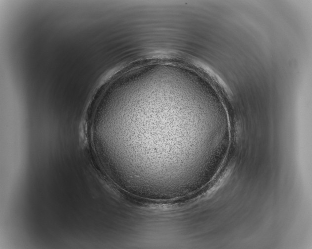 X0000101440970200807211208