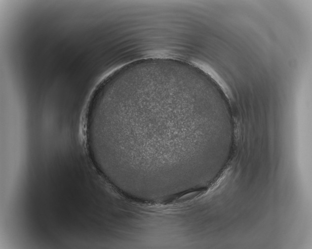 X0000101440971200807211208