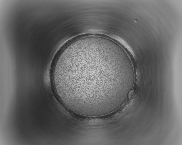 X0000101440972200807211208