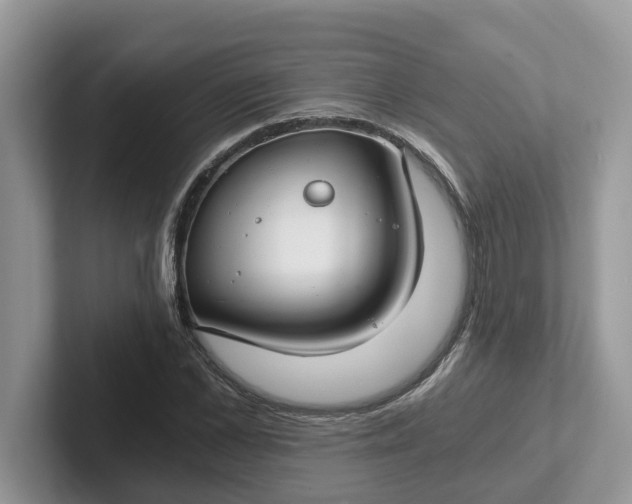 X0000101440973200807211208