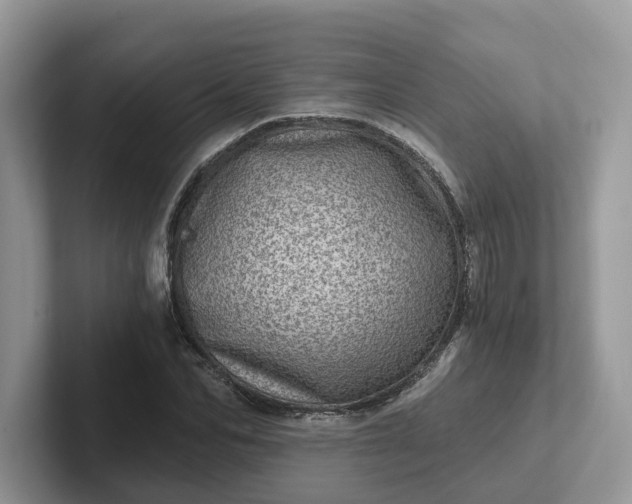 X0000101440974200807211208