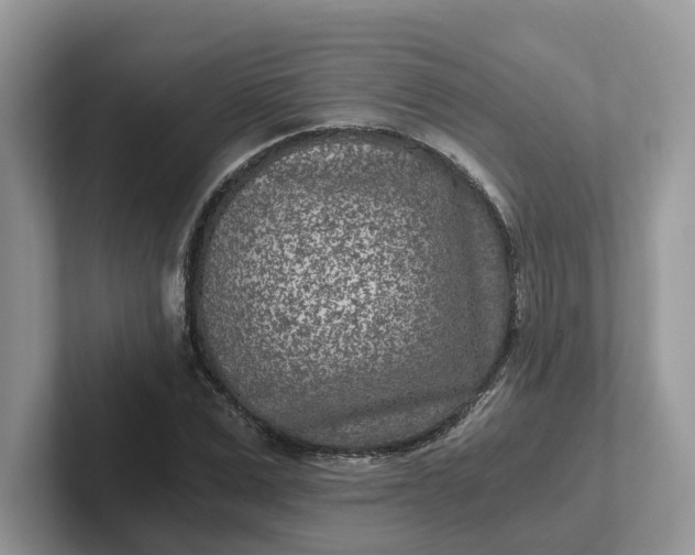 X0000101440975200807211208