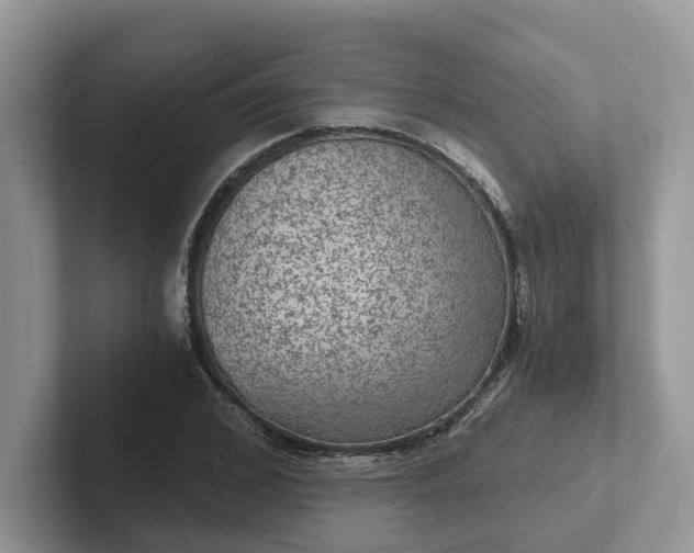 X0000101440976200807211208