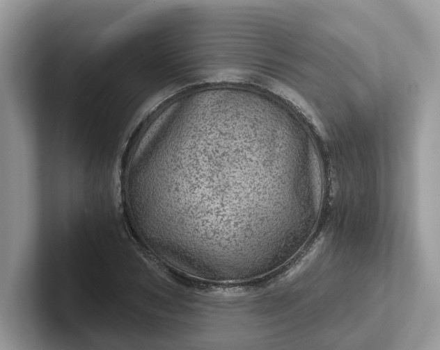 X0000101440978200807211208