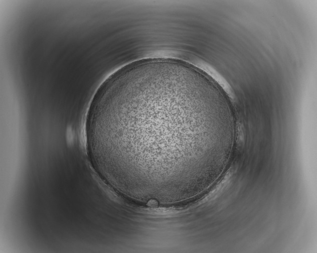 X0000101440980200807211208