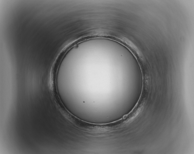 X0000101440981200807211208