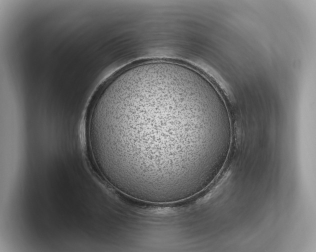 X0000101440982200807211208