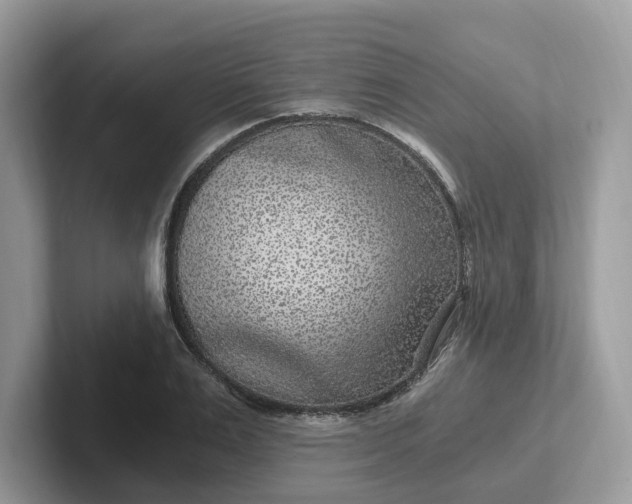 X0000101440983200807211208