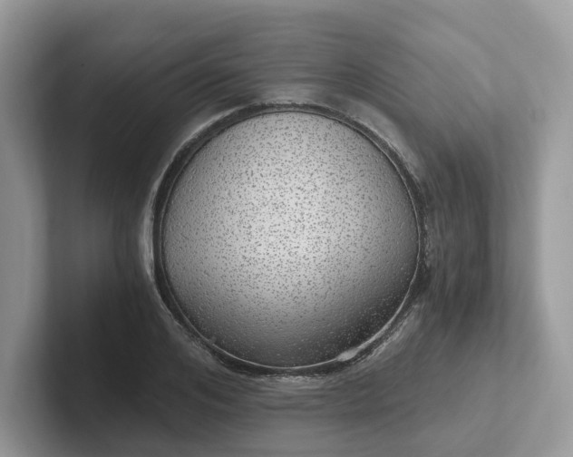 X0000101440984200807211208