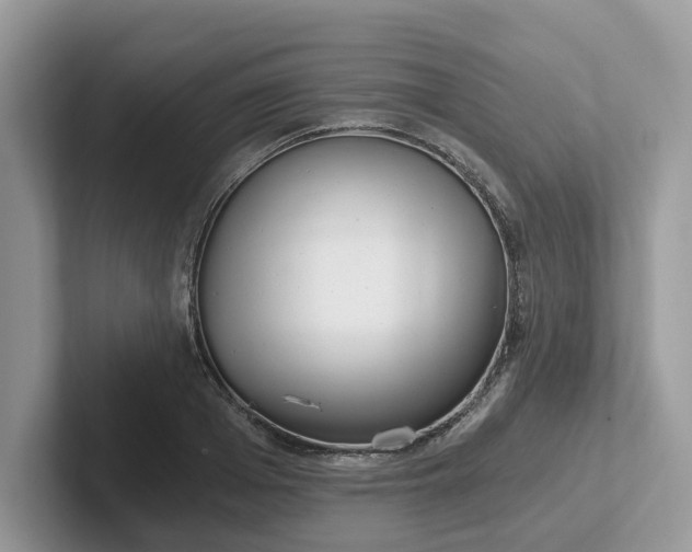 X0000101440985200807211208