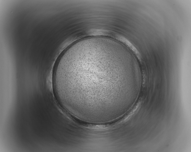 X0000101440986200807211208