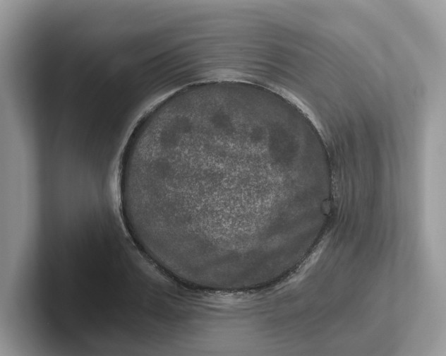 X0000101440987200807211208