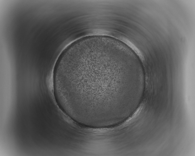 X0000101440988200807211208