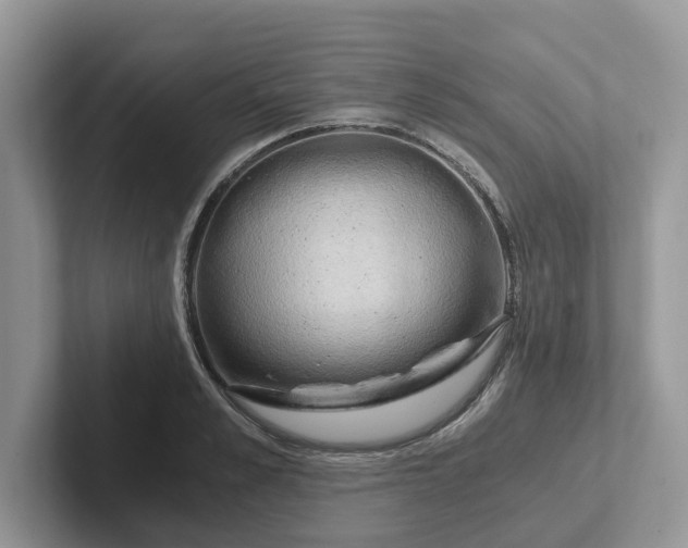 X0000101440989200807211208