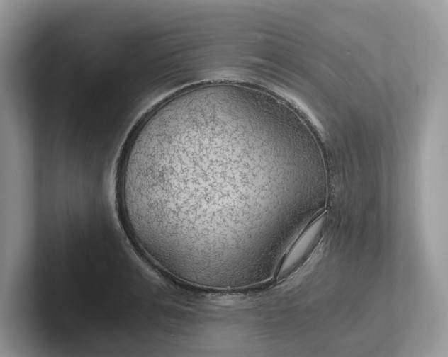 X0000101440991200807211208